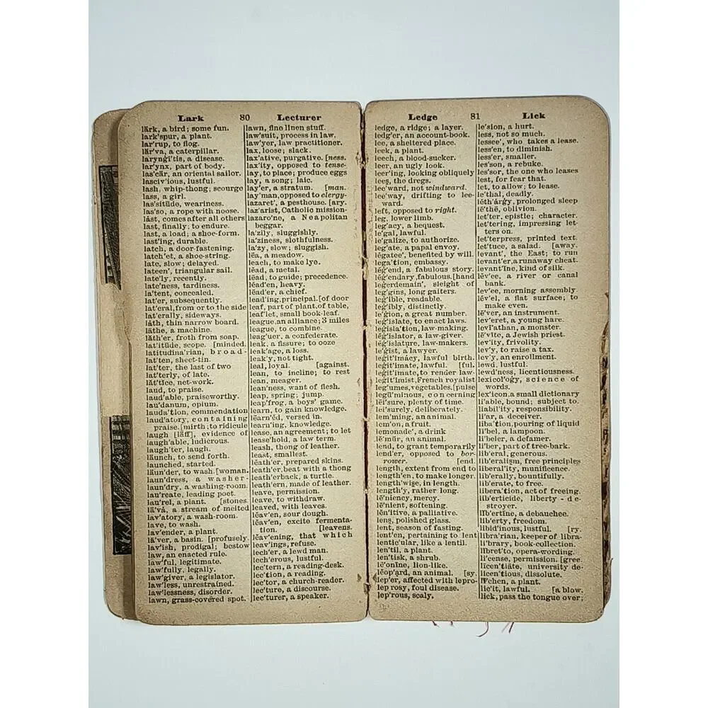 Laird & Lee Vest-Pocket Webster Pronouncing Dictionary Pocket Hardcover 1893